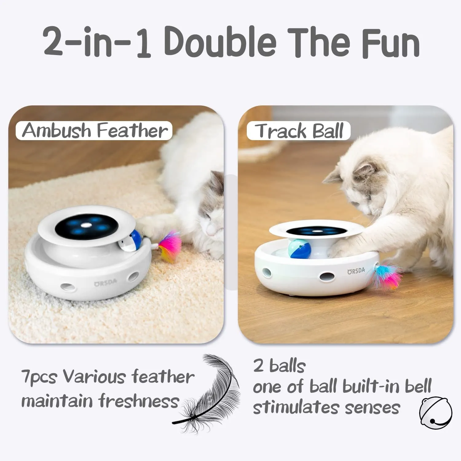 2In1 Interactive Toys for Indoor Cats