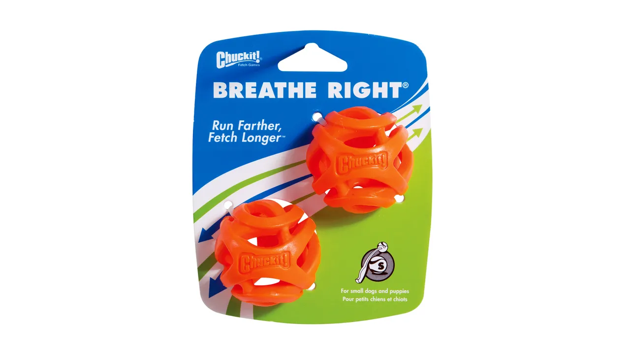 ChuckIt! Air Fetch Ball Small 2pk