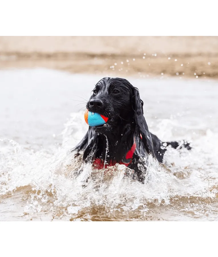 Chuckit! Amphibious Fetch Ball