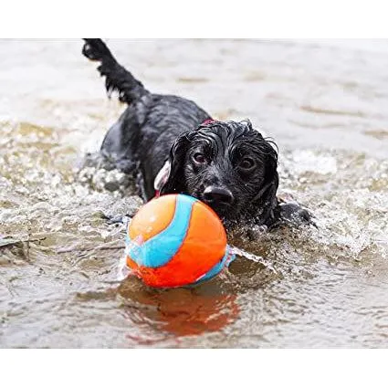 Chuckit - Amphibious Mega Ball