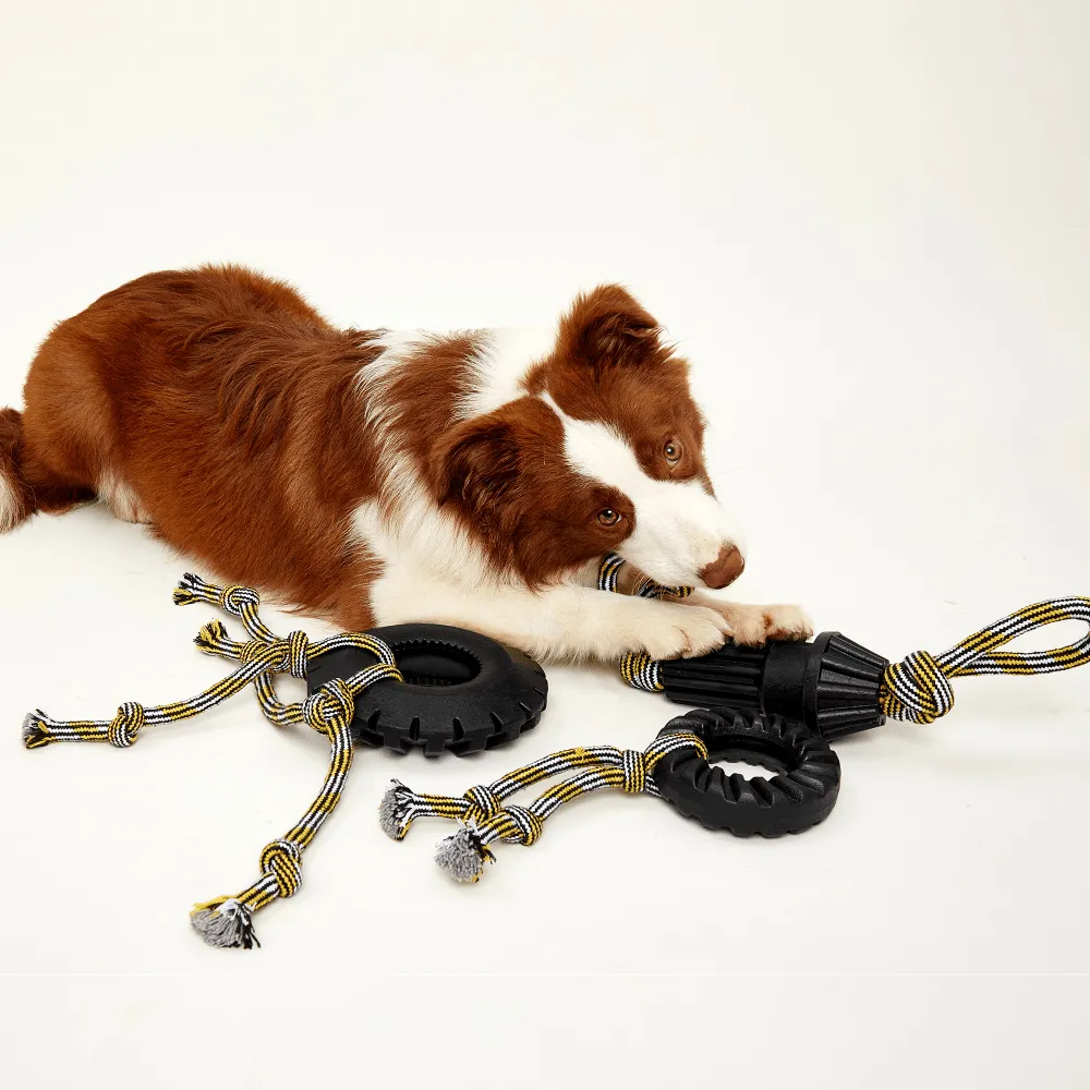 Fofos Tyre Rope Toy for Dogs (Large)