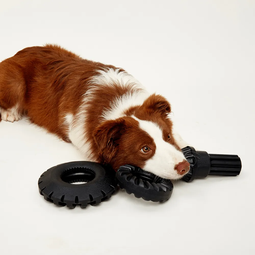 Fofos Tyre Toy for Dogs