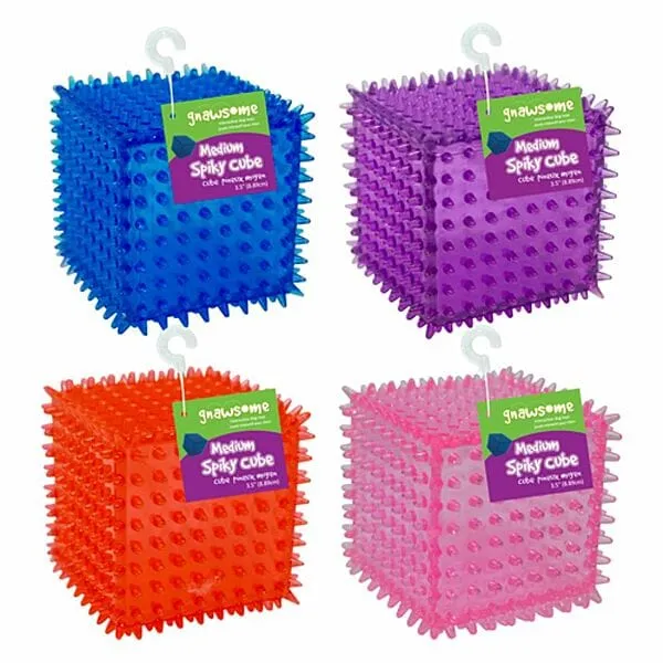 Gnawsome Spiky Squeaker Cube Dog Toy