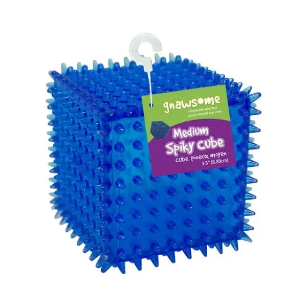 Gnawsome Spiky Squeaker Cube Dog Toy