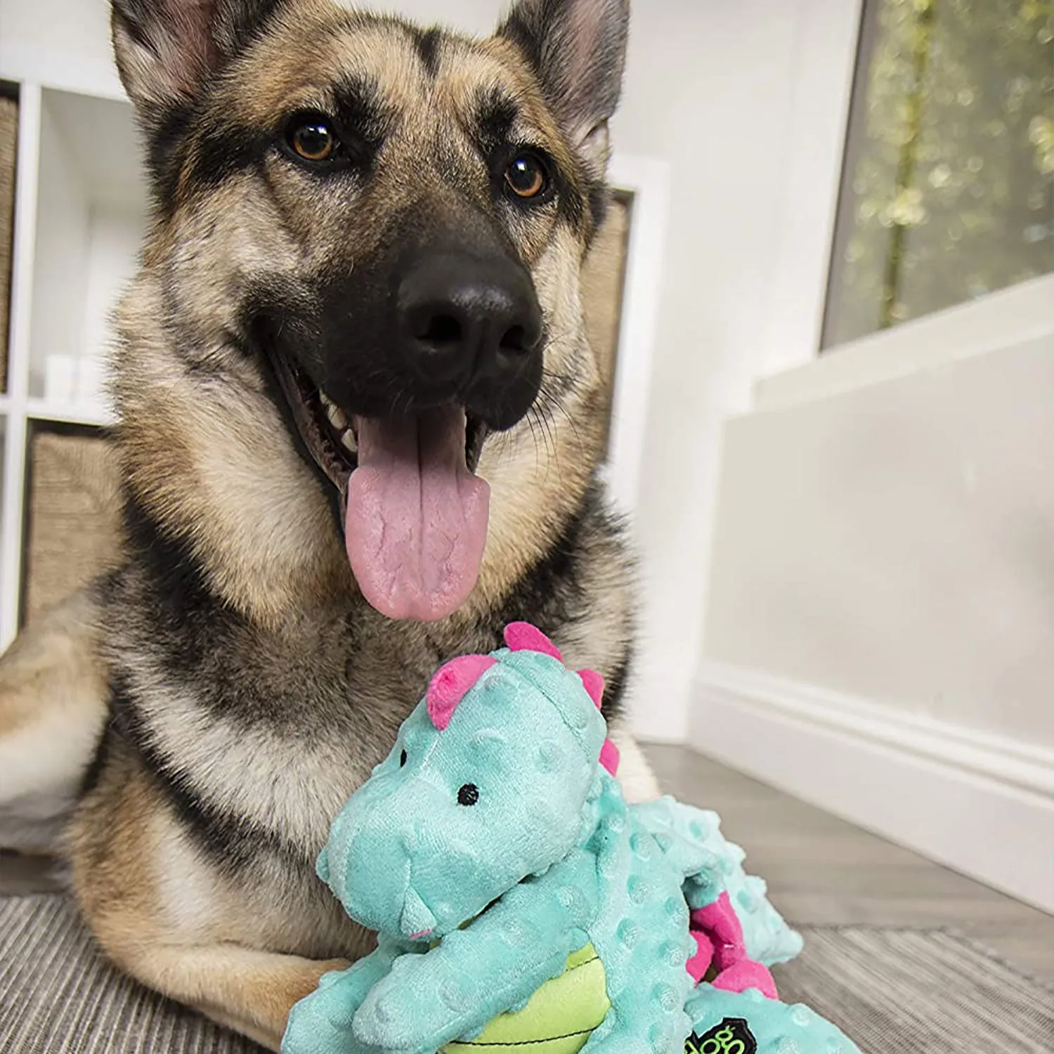 GoDog's Turquoise Dragon