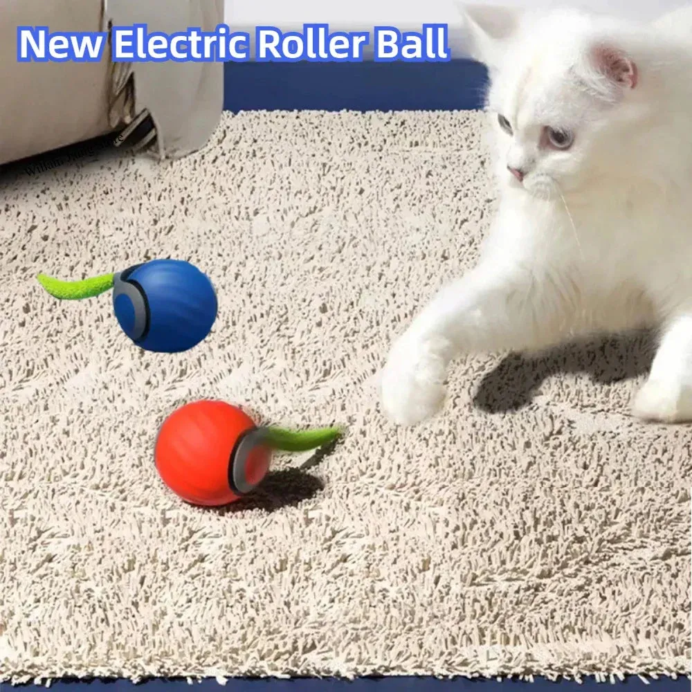 Interactive Electric Cat Toy