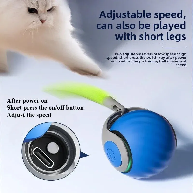 Interactive Electric Cat Toy