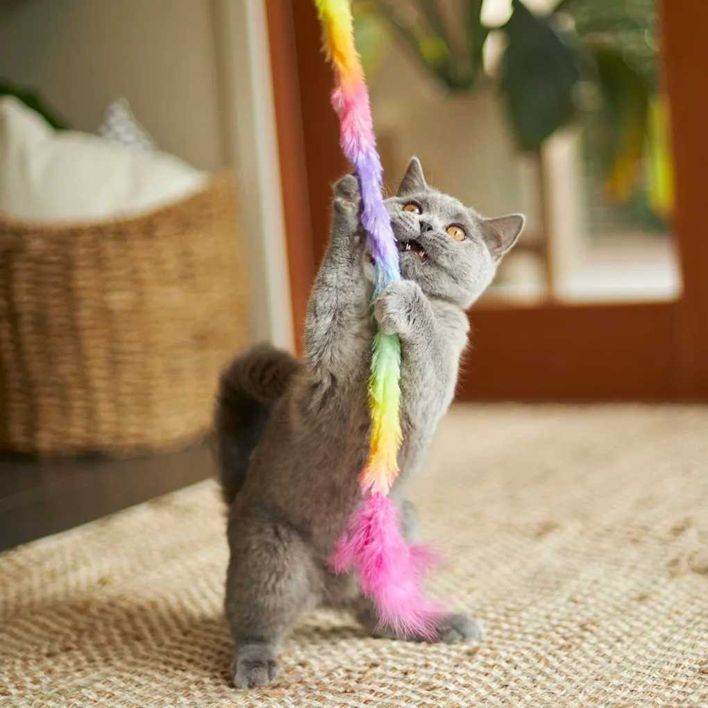 Kazoo Fluffy Rainbow Tail Cat Toy