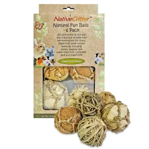 Natural Fun Balls 6 Pack