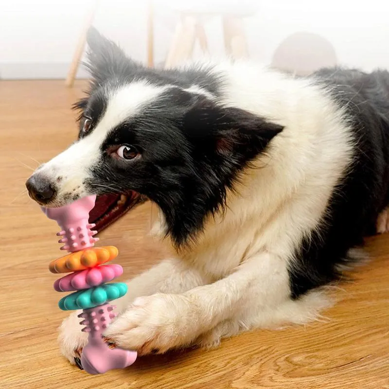 Nontoxic Chew Toy