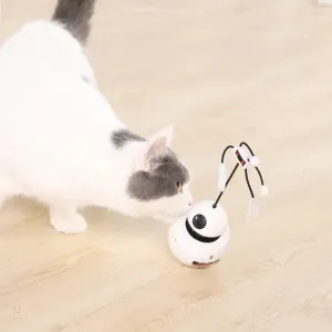 PAWS FOR LIFE 3 In 1 Robot Cat Toy