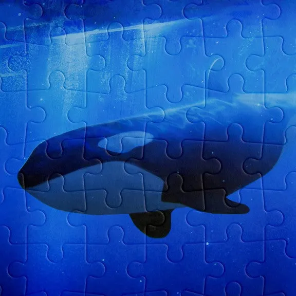 Southern resident killer whale puzzle