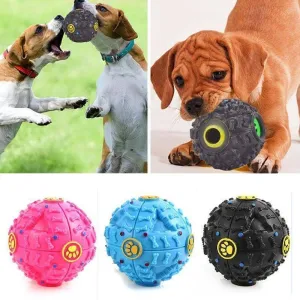 Squeaky Dog Ball